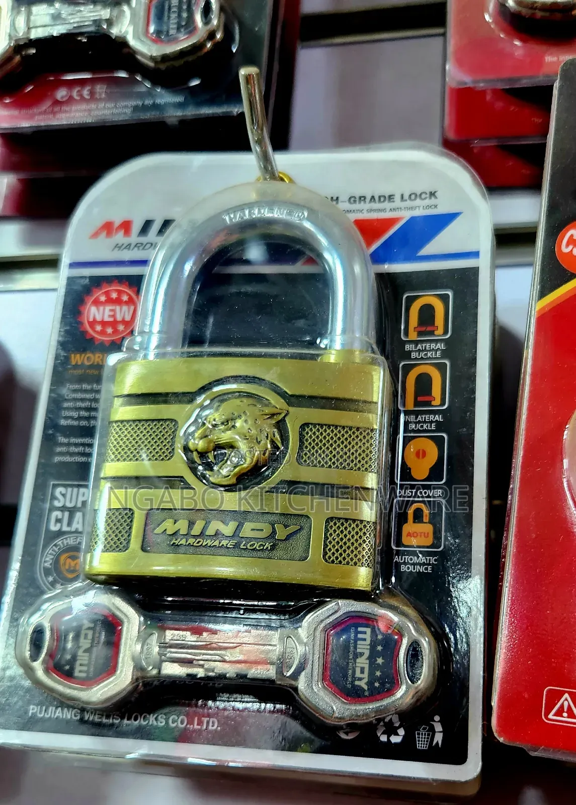 Padlock for Security