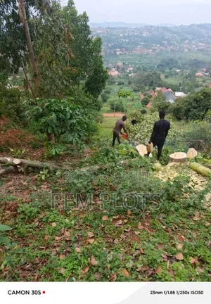 1 Acre at Mpigi Town Council