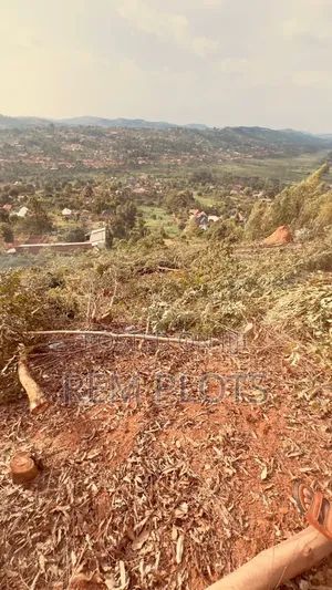 1 Acre at Mpigi Town Council
