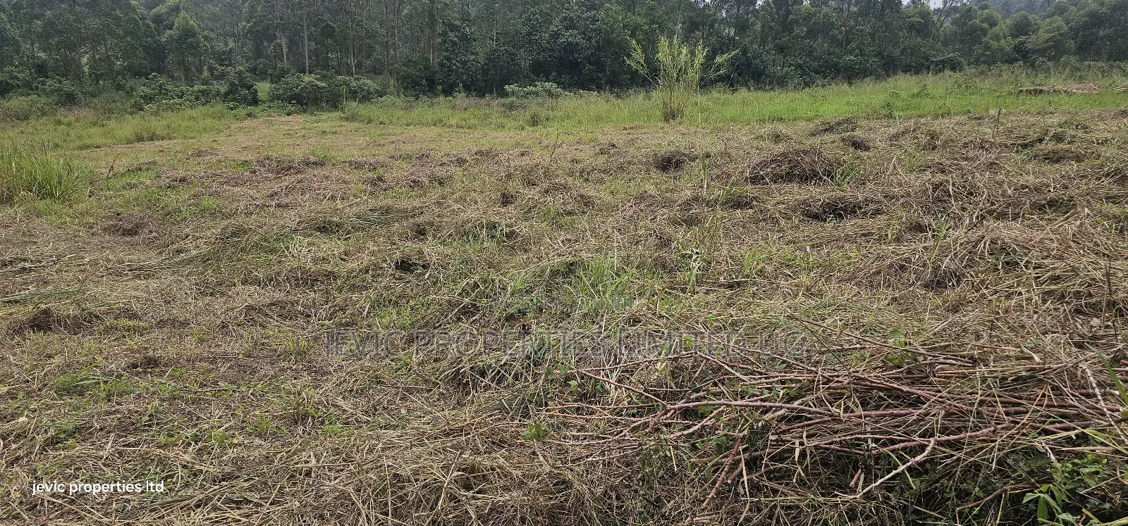 Plots for Sale at Namayumba Near Town