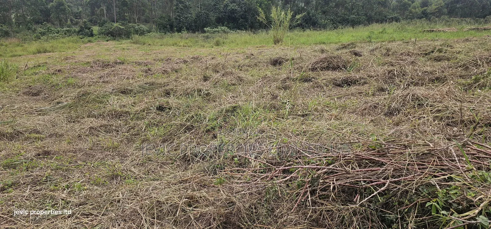 Plots for Sale at Namayumba Near Town