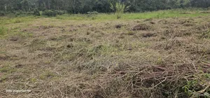 Plots for Sale at Namayumba Near Town
