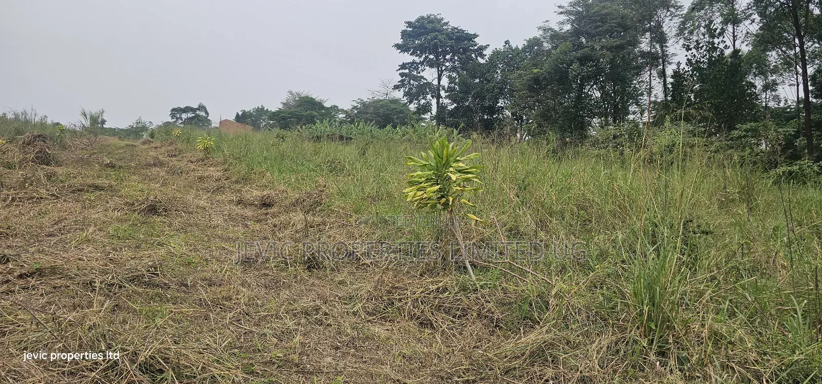 Plots for Sale at Namayumba Near Town