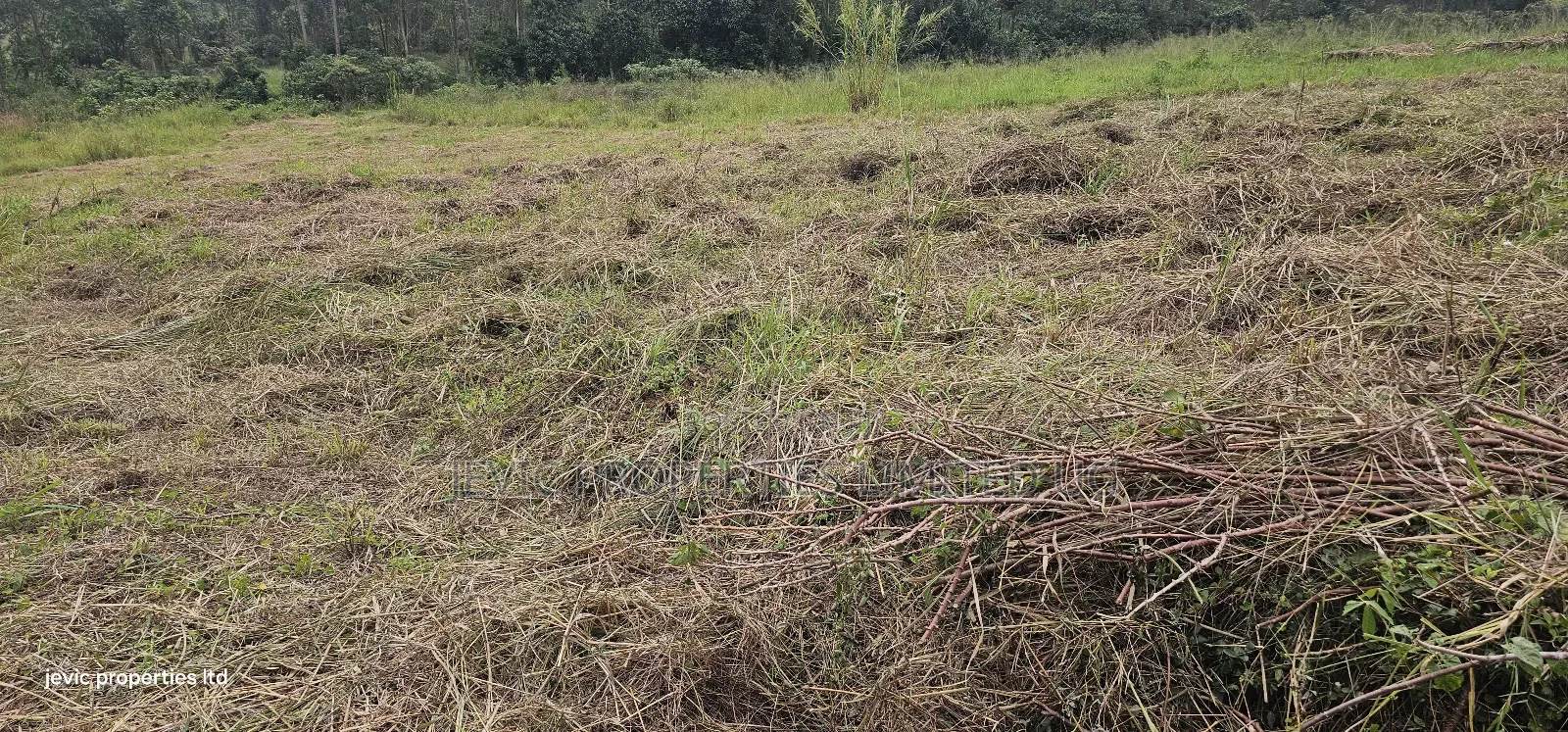 Plots for Sale at Namayumba Near Town