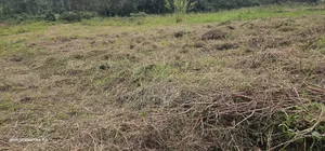 Plots for Sale at Namayumba Near Town