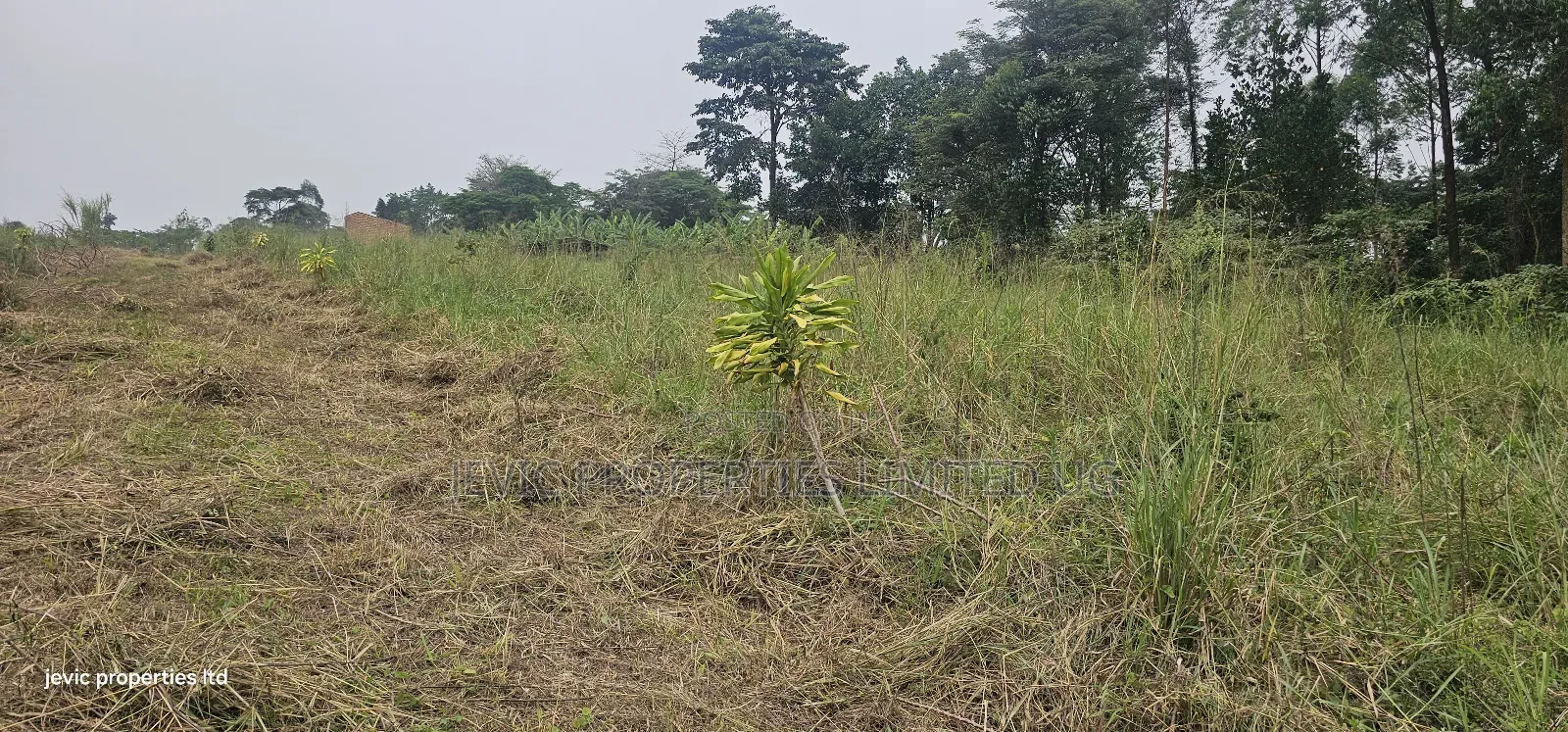 Farm Land for Sale at Namayumba Along Hoima Road