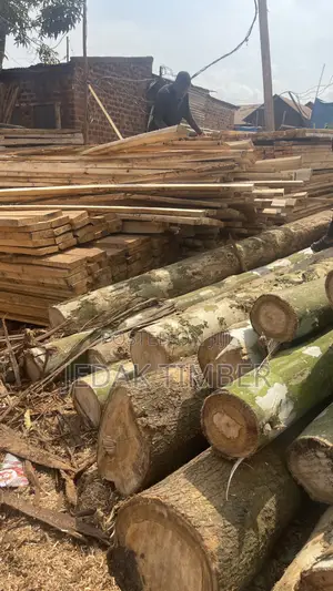Timber at Cheap Price