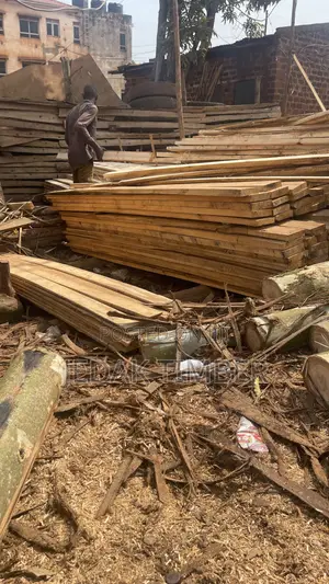 Timber at Cheap Price