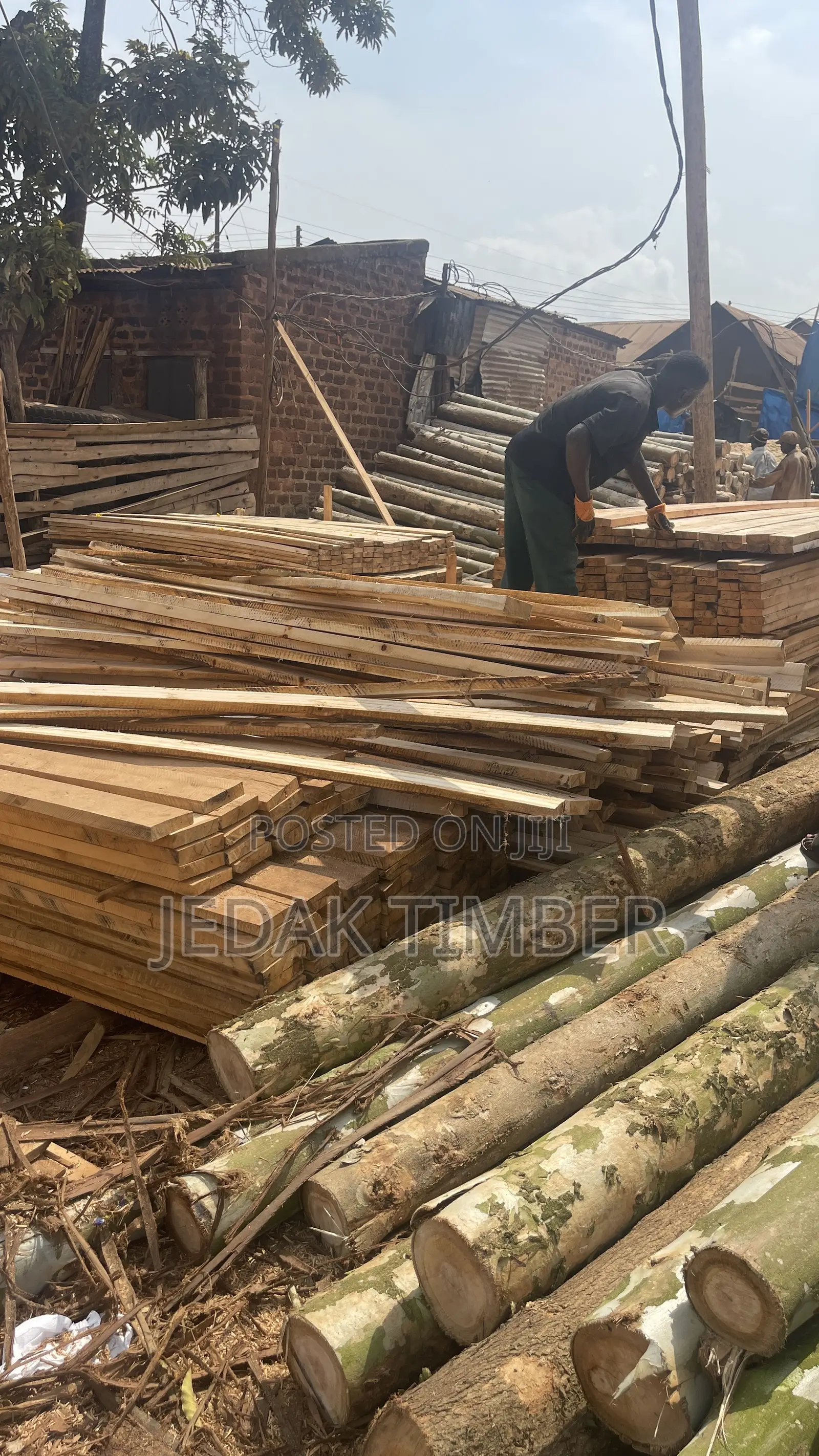 Timber at Cheap Price