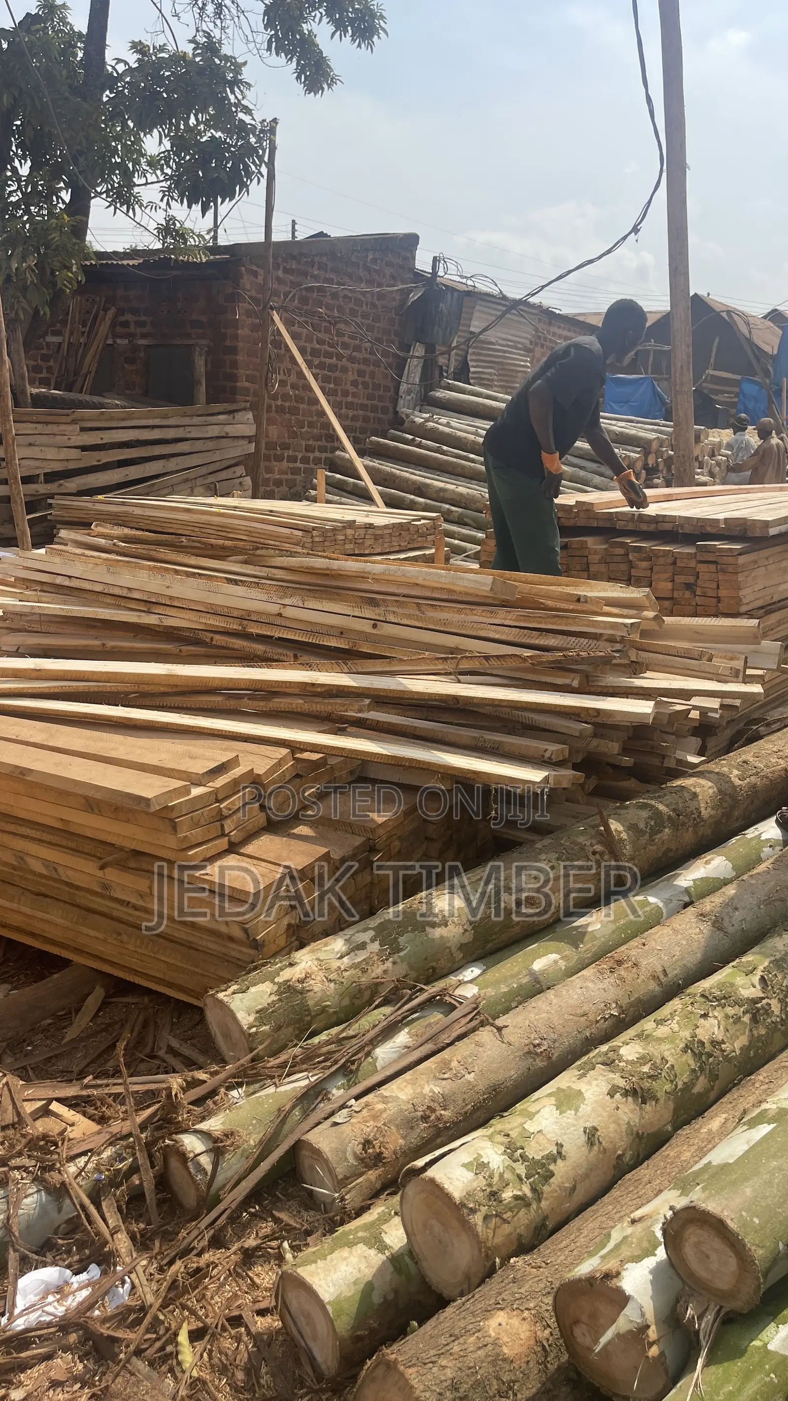 Timber at Cheap Price