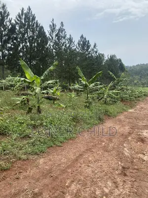 Kisoga Estate Plots