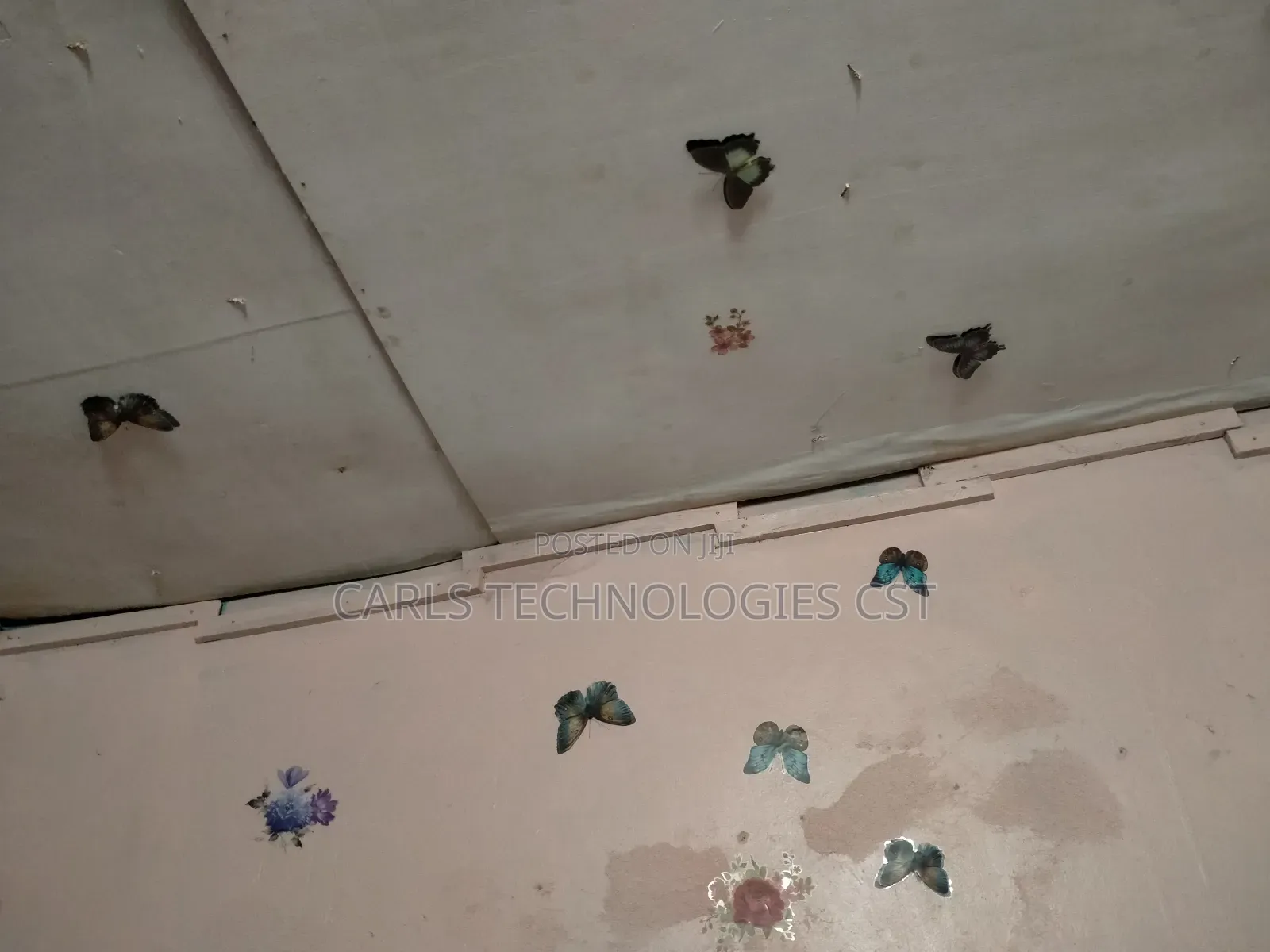 1bdrm Room & Parlour in Nabulagala, Rubaga for rent