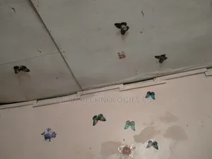 1bdrm Room & Parlour in Nabulagala, Rubaga for rent