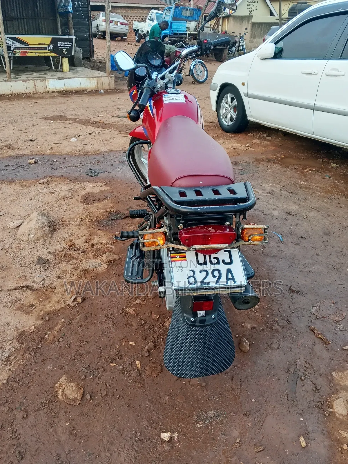 Bajaj Boxer 125 2024 Red
