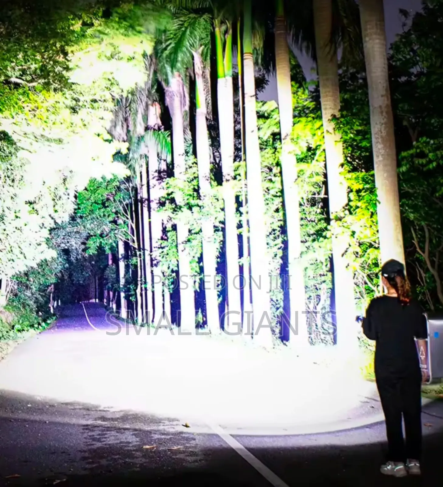 Dat Dt-862 Rechargeable Led Flashlight,