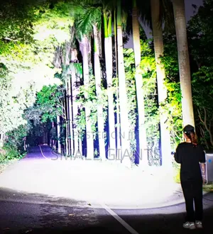 Dat Dt-862 Rechargeable Led Flashlight,