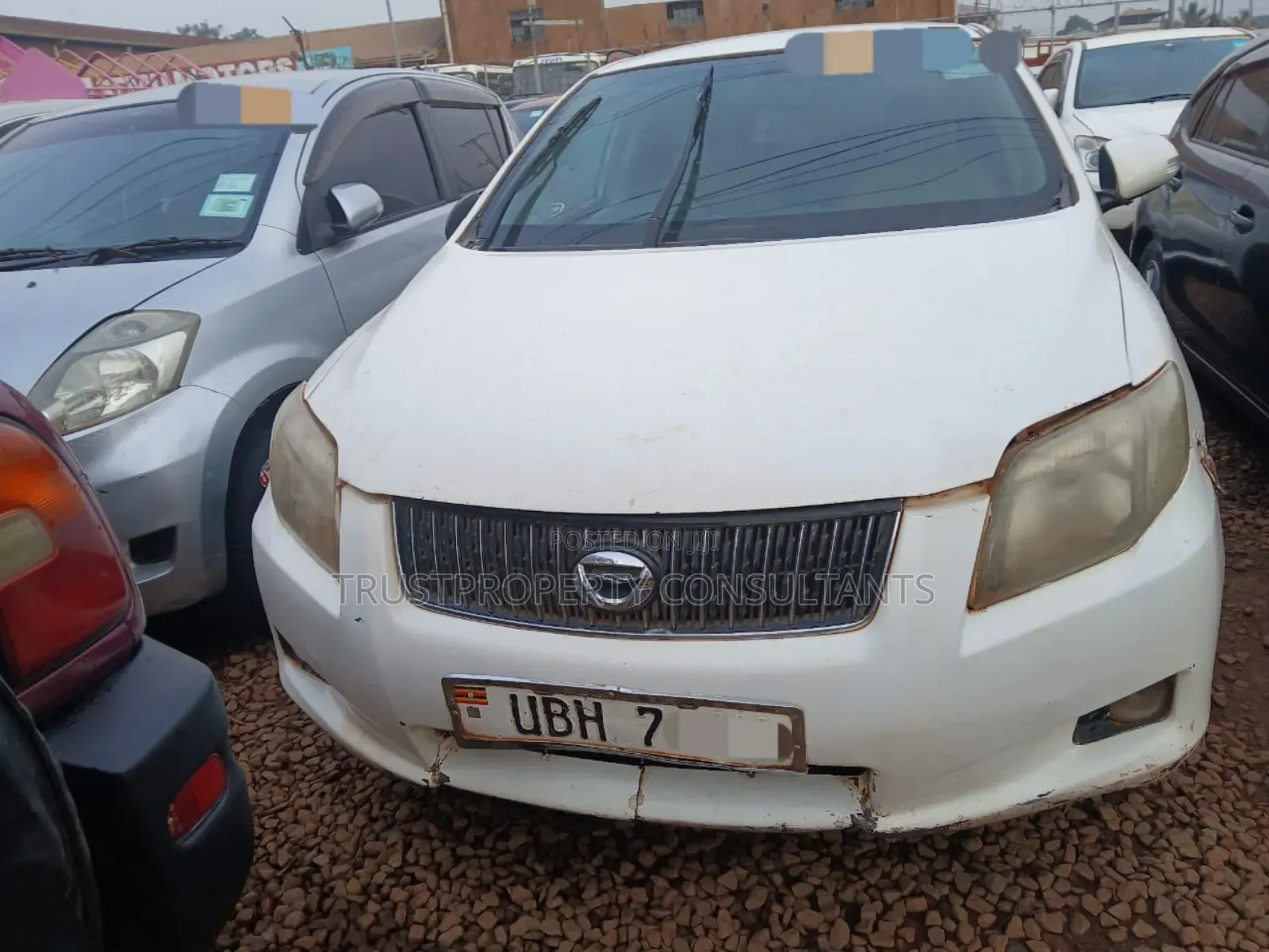 Toyota Corolla Fielder 2010 White