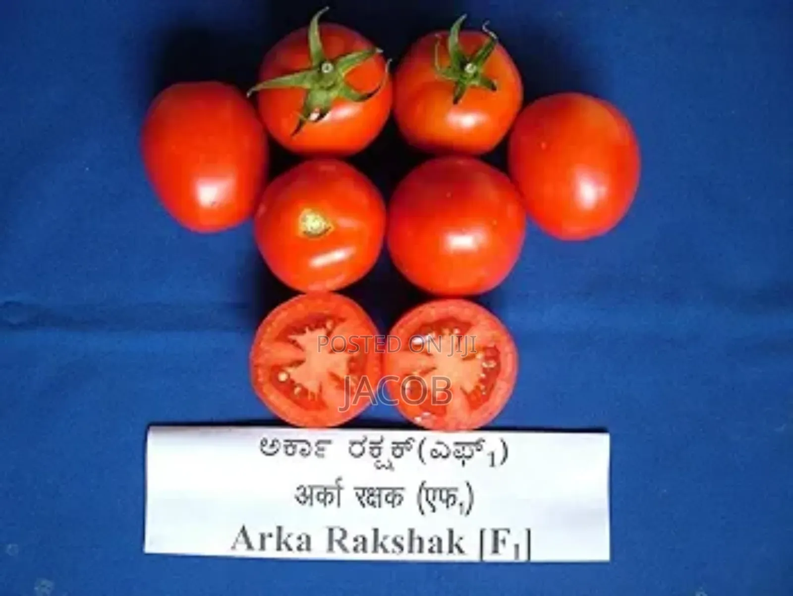Arka Rakshak F1 Tomatoes Seed