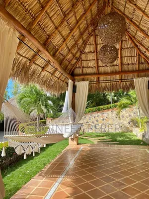 Grass Interior Ceiling Work