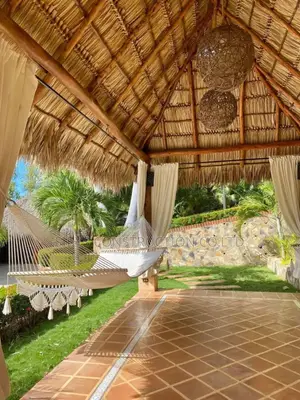 Grass Interior Ceiling Work