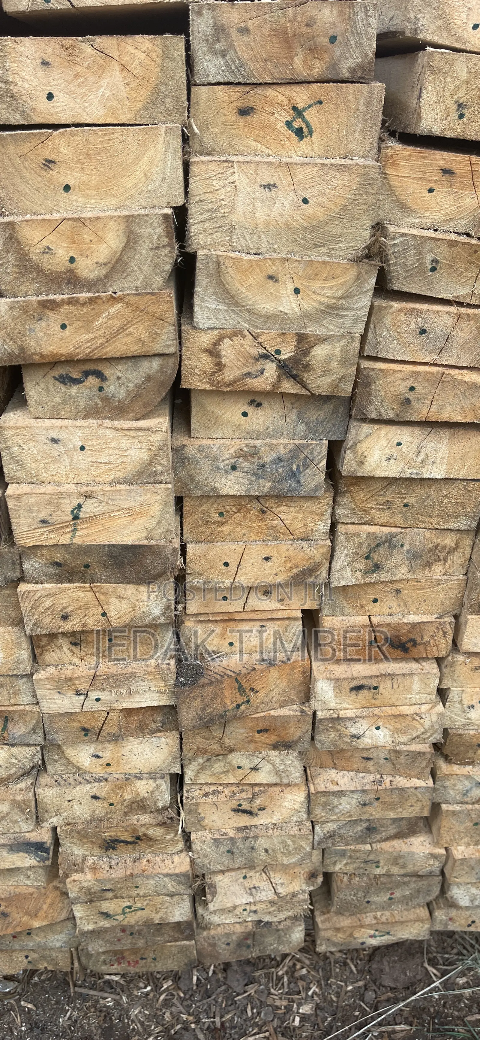Timber Discounted Price