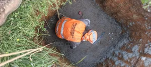 Foundation Lay Out
