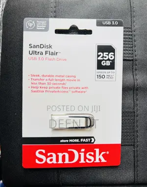 256gb Sandisk Flash Drive