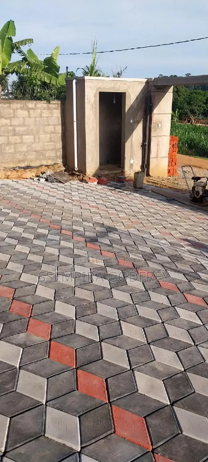 Robus Paver Installer Per Sqm