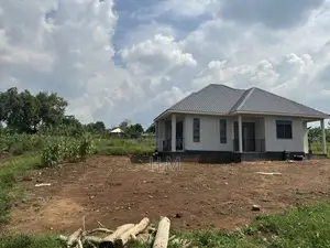 100*100 Plot in the Heart of Kiwenda Town 500m From Tarmac