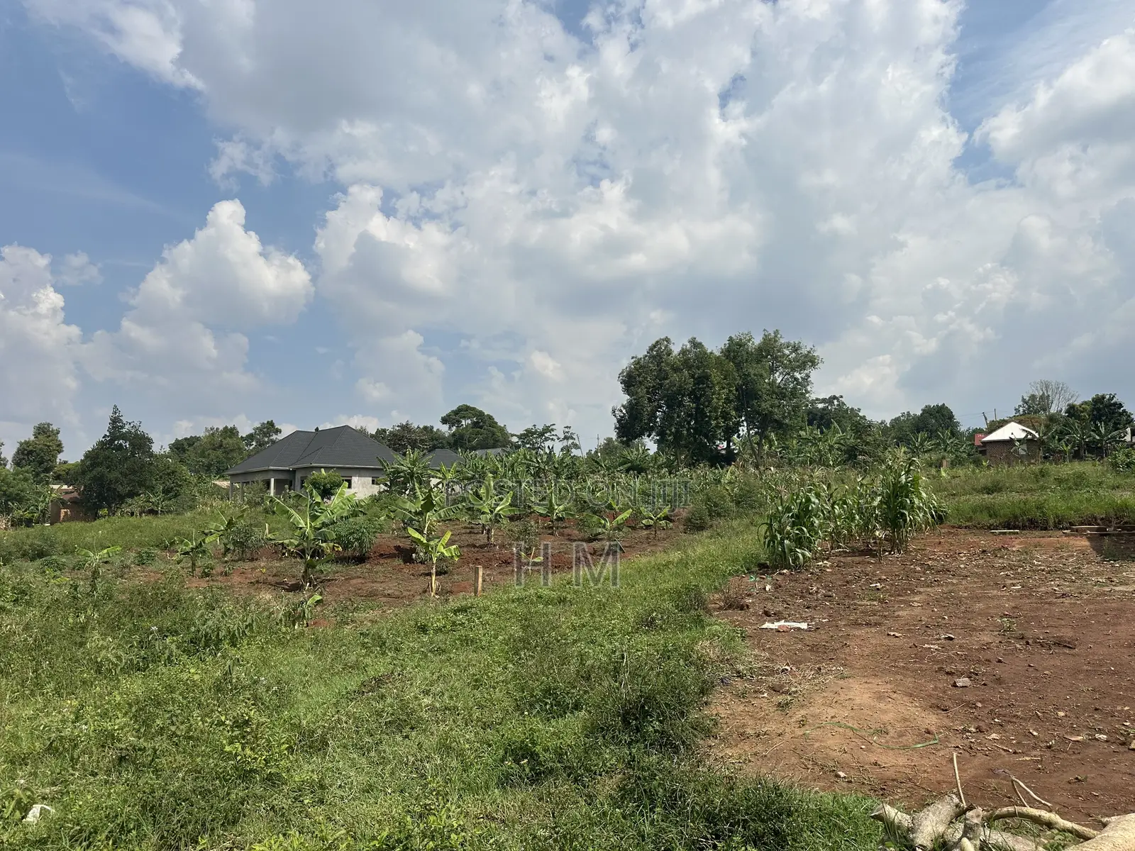 100*100 Plot in the Heart of Kiwenda Town 500m From Tarmac