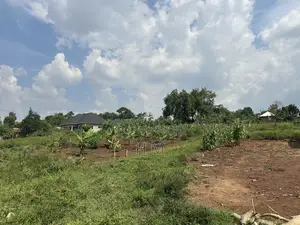 100*100 Plot in the Heart of Kiwenda Town 500m From Tarmac