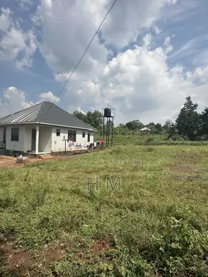 100*100 Plot in the Heart of Kiwenda Town 500m From Tarmac