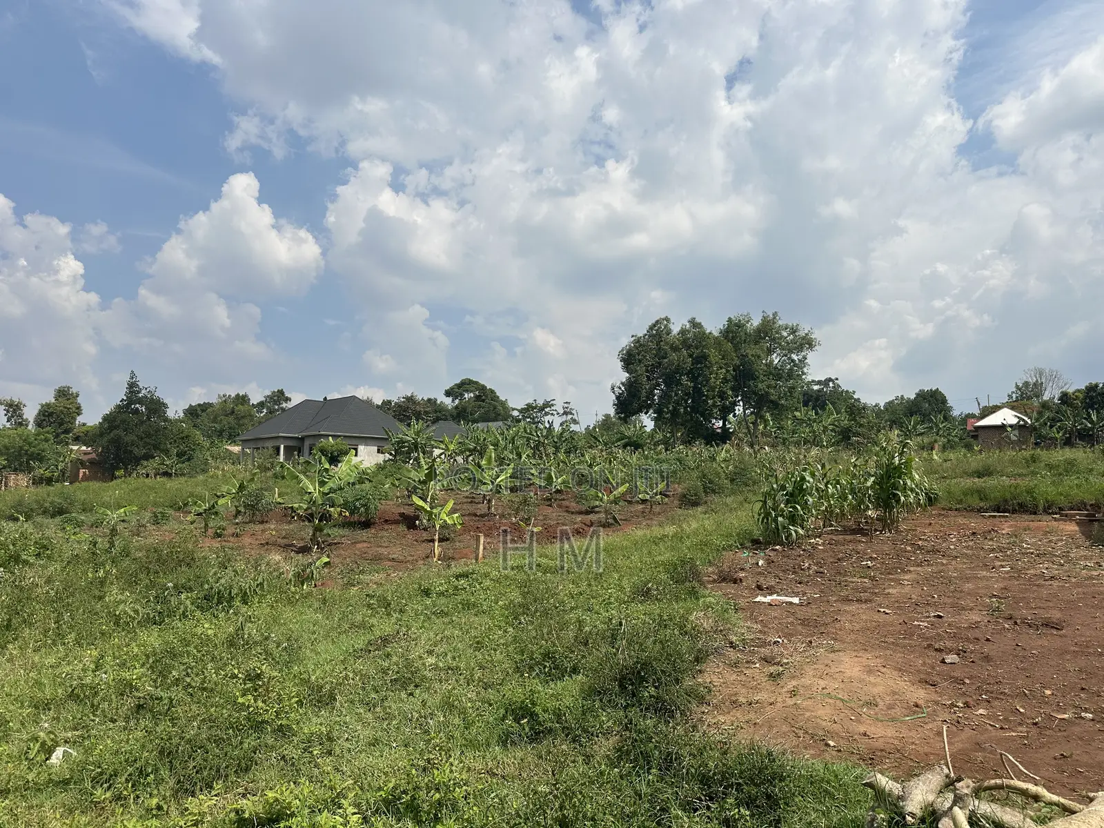 100*100 Plot in the Heart of Kiwenda Town 500m From Tarmac