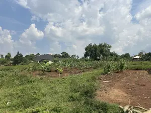 100*100 Plot in the Heart of Kiwenda Town 500m From Tarmac