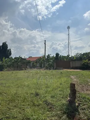 100*100 Plot in the Heart of Kiwenda Town 500m From Tarmac