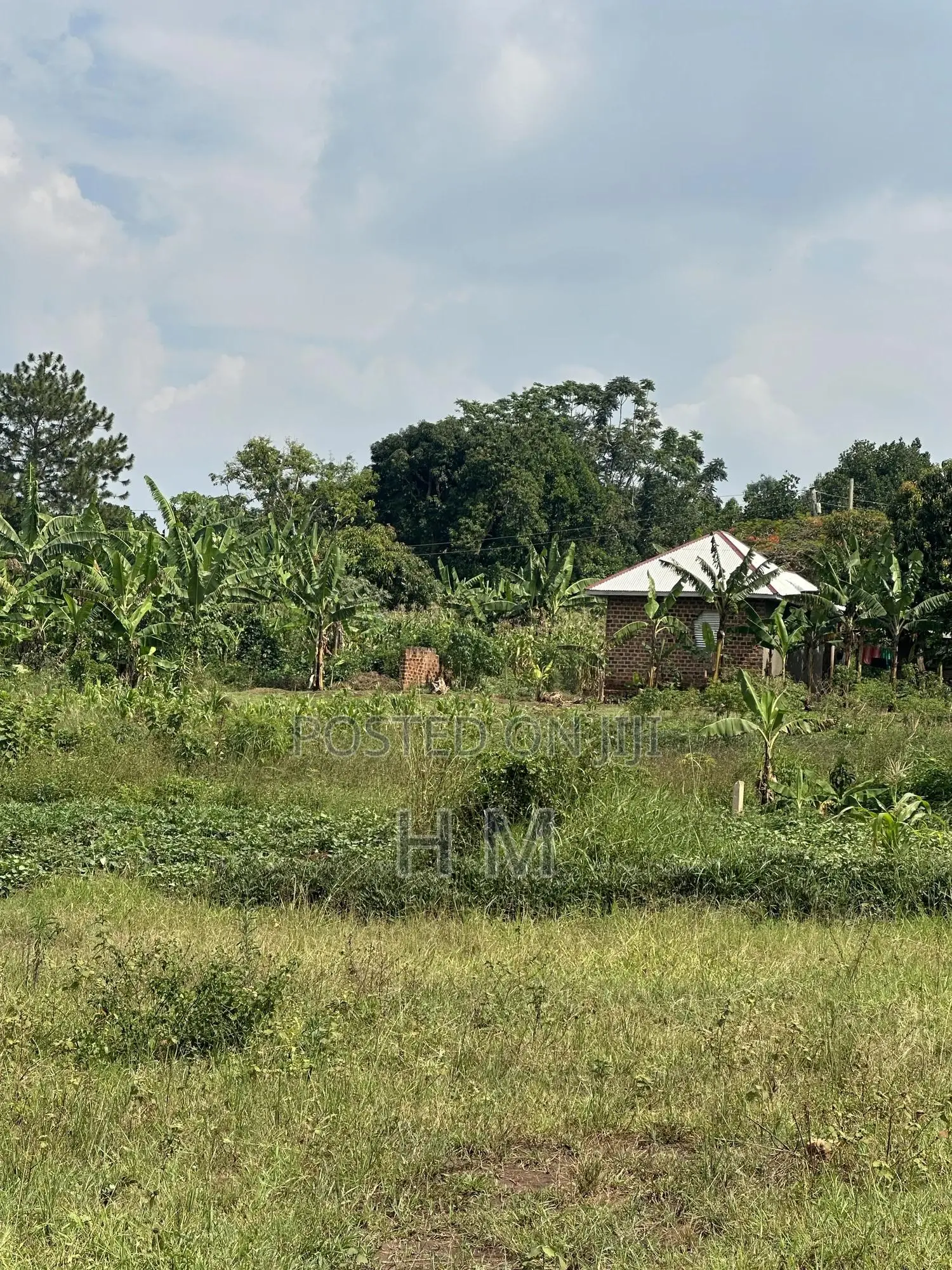 100*100 Plot in the Heart of Kiwenda Town 500m From Tarmac