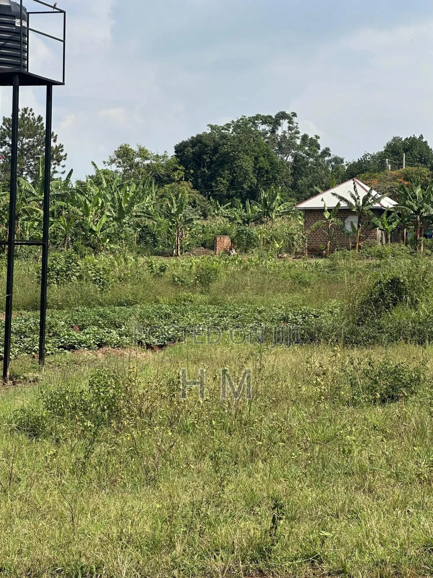 100*100 Plot in the Heart of Kiwenda Town 500m From Tarmac