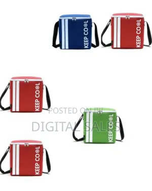 10l Portable Thermal Insulated Travel Basket Cooler Bag