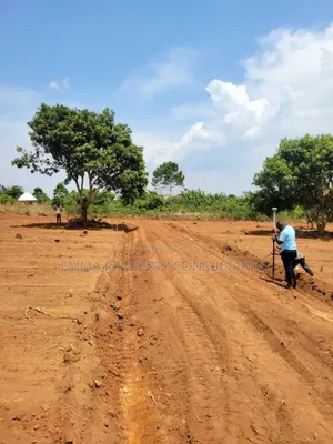 Zierobwe Wabitungulu