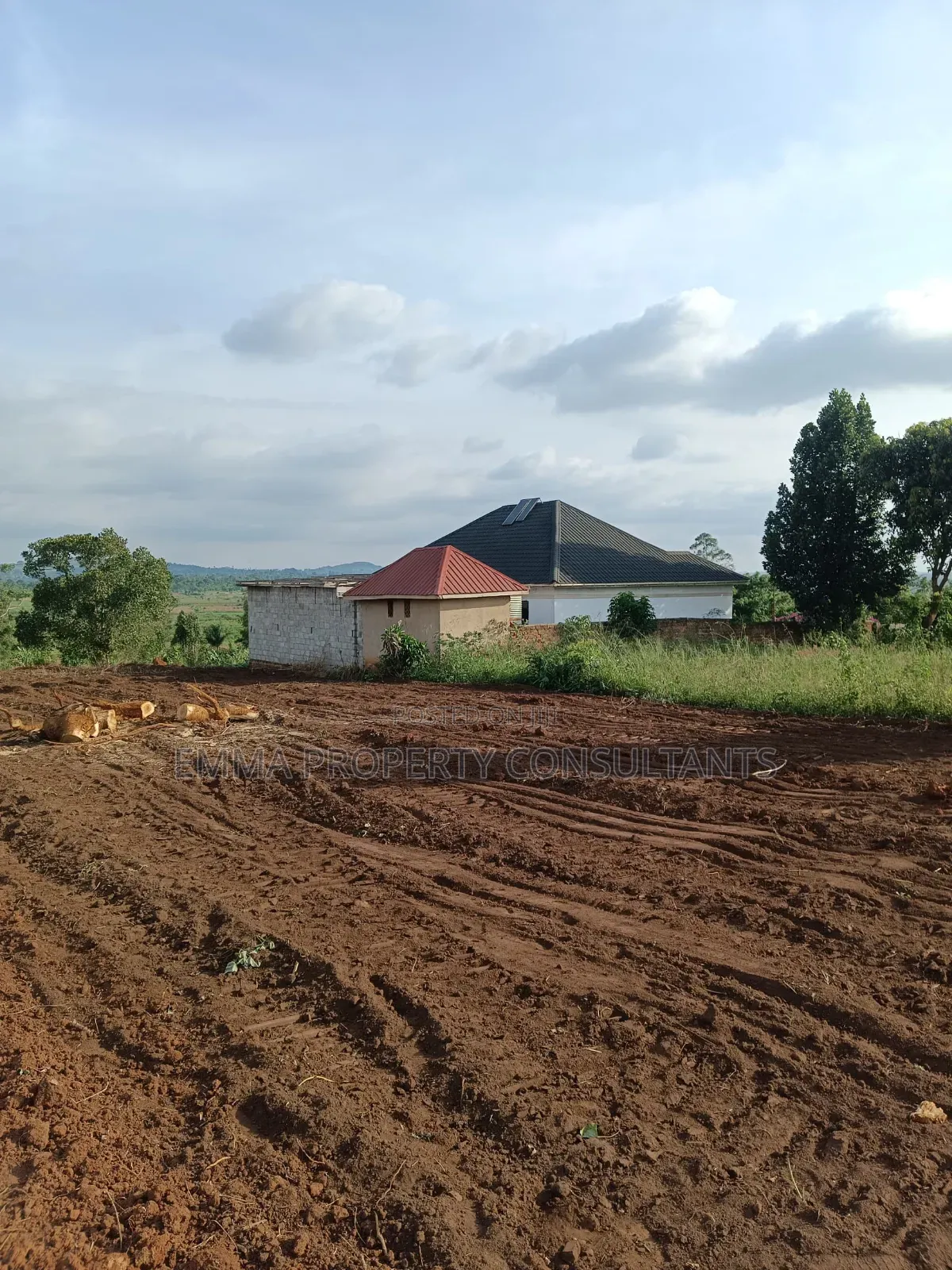 Zierobwe Wabitungulu