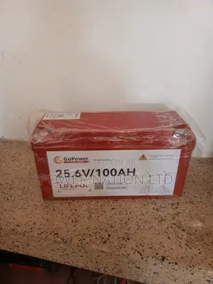 100ah 24v Gopower Lithium Iron Battery (14yrs Lifespan)