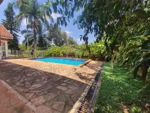 4bdrm House in Muyenga, Central Division for rent