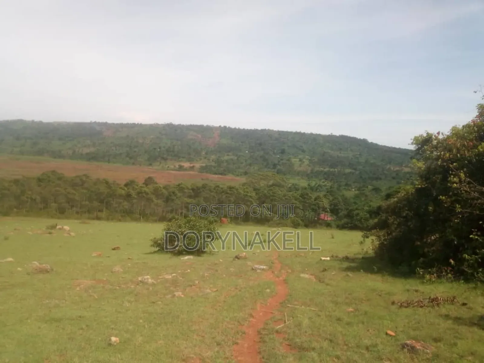 Lakeview Land in Nkokonjeru-Buikwe