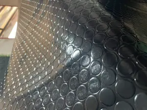 Kanussu Gym Carpets Per Squaremeter