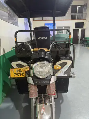 New Tricycle 2026 Green