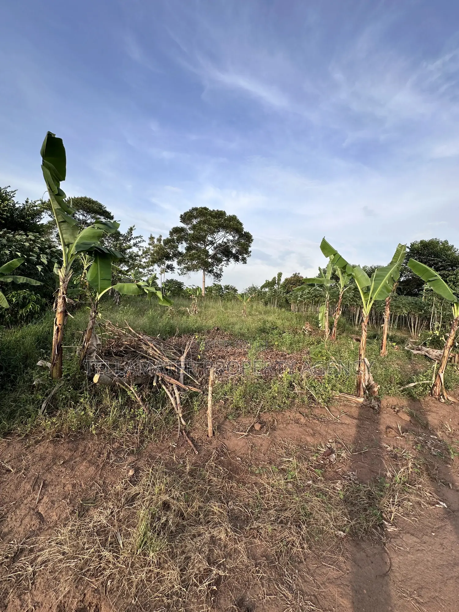 50*100ft Mailo Plot at Nakifuma-Kakinzi for Sale at Only 13m Only