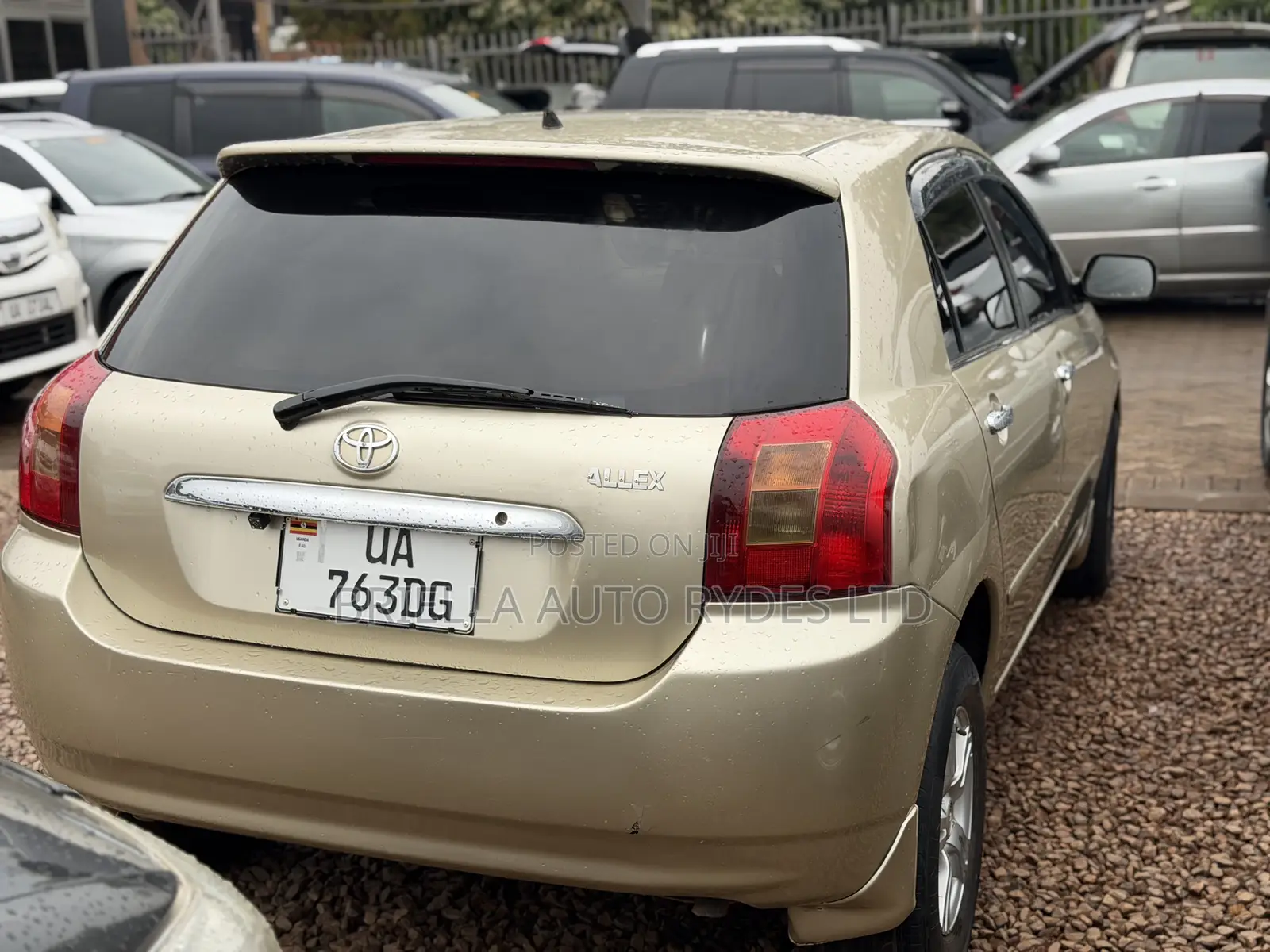 Toyota Allex 2005 Gold