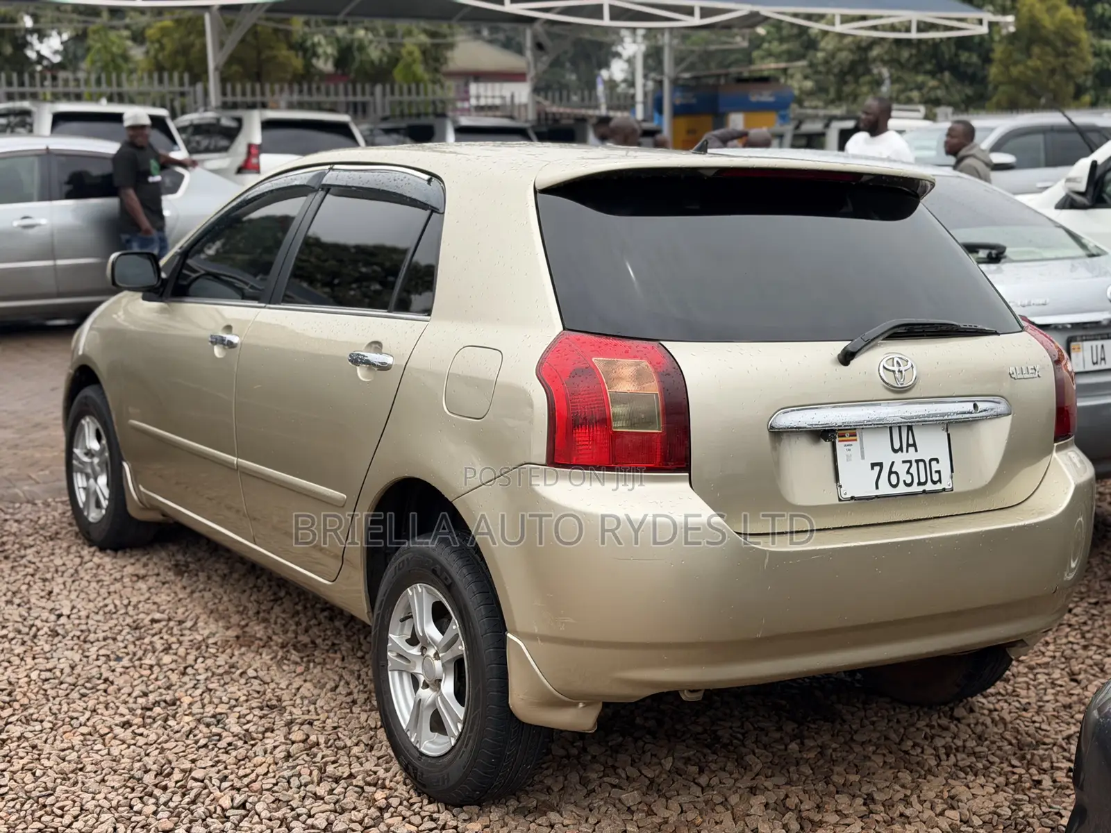 Toyota Allex 2005 Gold