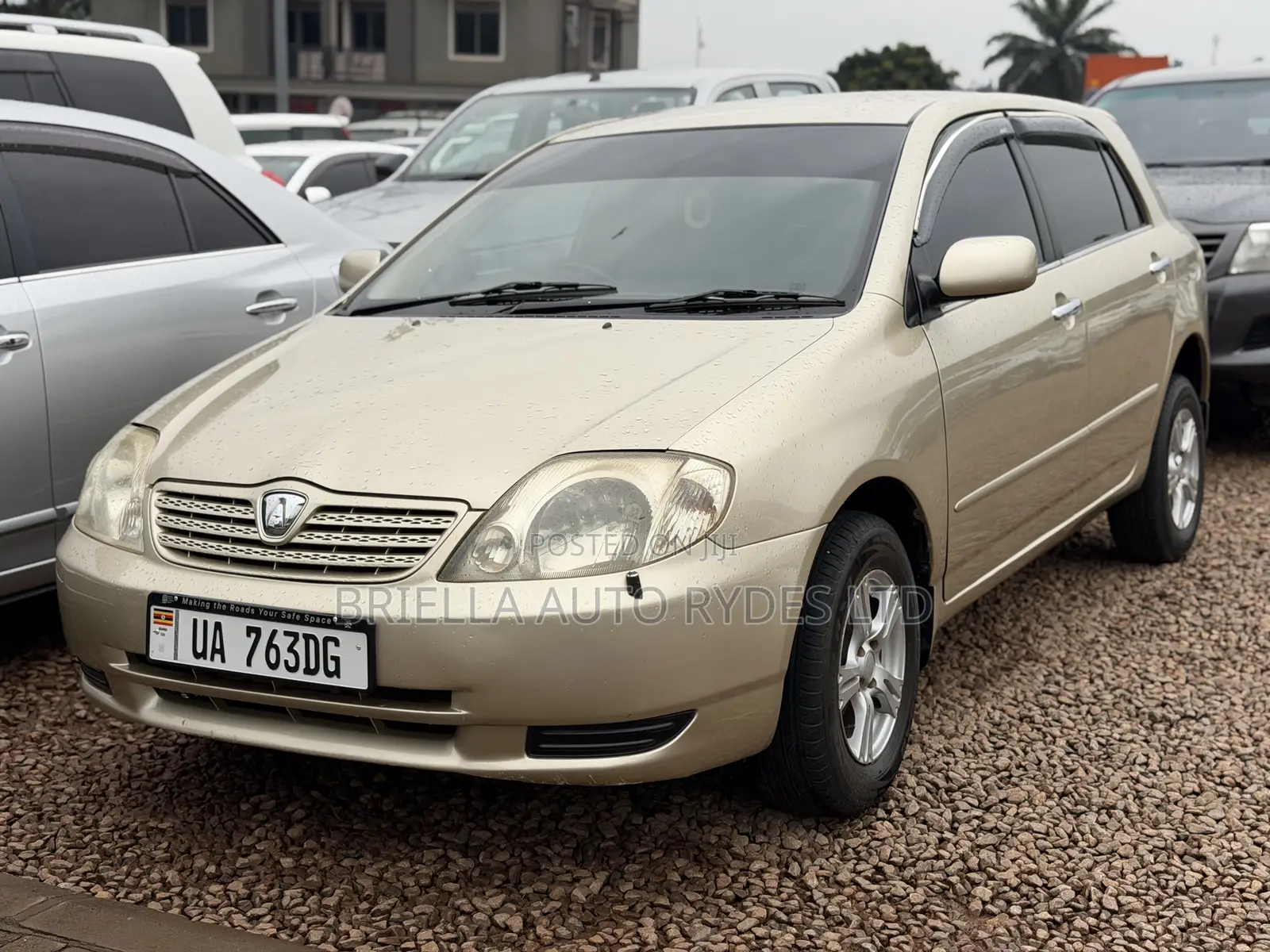 Toyota Allex 2005 Gold
