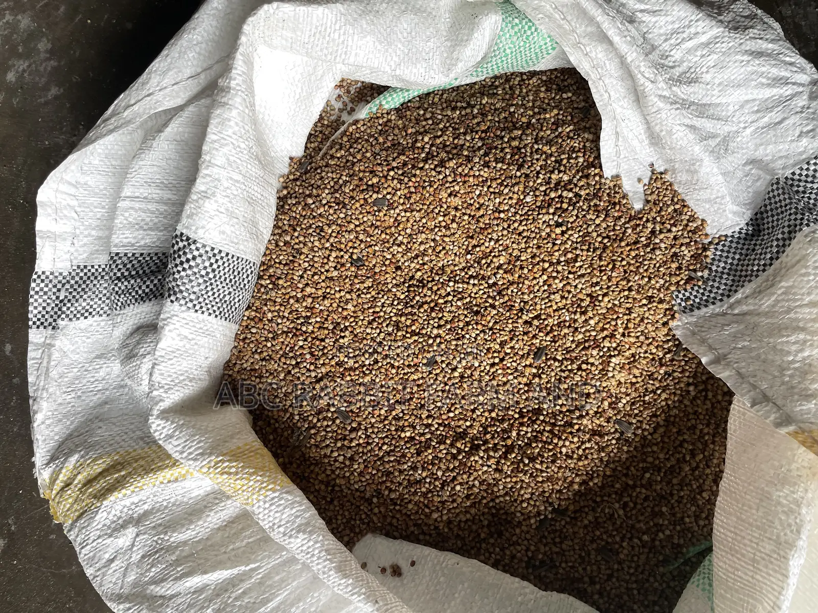 Sorghum Grain 10kg